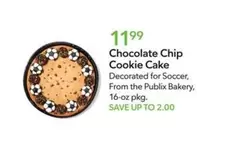 Chocolate Chip Cookie Cake