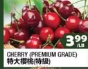 CHERRY (PREMIUM GRADE)