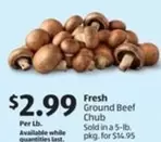 Fresh Ground Beef Chub