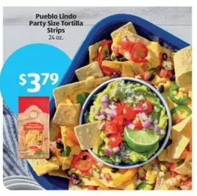 Party Size Tortilla Strips