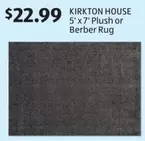Plush - 5' x 7'  or Berber Rug