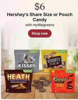Hershey's - Share Size or Pouch Candy