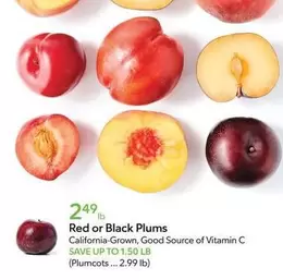 Red or Black Plums