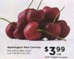 Washington Red Cherries