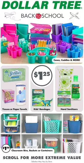 Dollar Tree catalogue in Livonia NY | Weekly Ads Dollar Tree | 2025-07-27T00:00:00.000Z - 2025-08-16T00:00:00.000Z