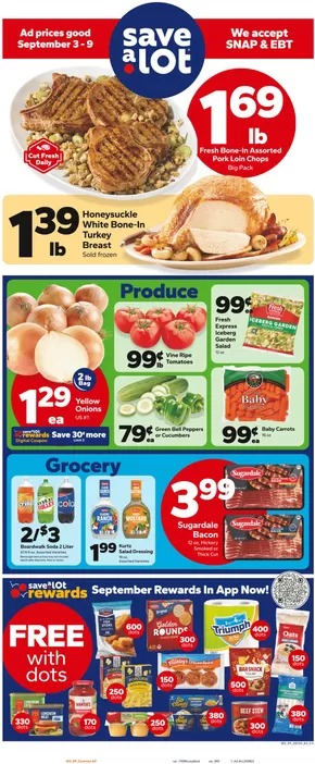 Save a Lot catalogue in Silver Creek NY | Exclusive deals for our customers | 2025-08-31T00:00:00.000Z - 2025-09-06T00:00:00.000Z