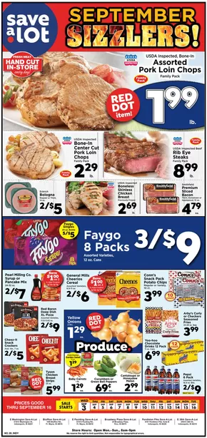 Save a Lot catalogue in Silver Creek NY | Exclusive deals and bargains | 2025-09-03T00:00:00.000Z - 2025-09-16T00:00:00.000Z