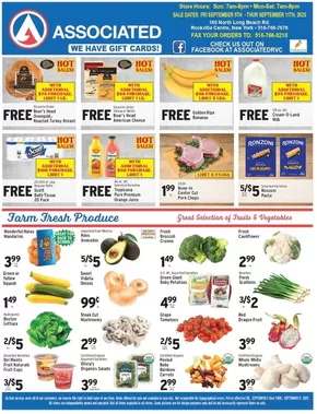 Associated catalogue | Great discounts on selected products | 2025-09-05T00:00:00.000Z - 2025-09-19T00:00:00.000Z