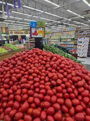 El Rio Grande catalogue in Manchester MO | Our best offers for you | 2025-09-14T00:00:00.000Z - 2025-09-28T00:00:00.000Z