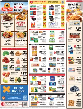 ShopRite catalogue | Exclusive deals and bargains | 2025-10-09T00:00:00.000Z - 2025-10-16T00:00:00.000Z