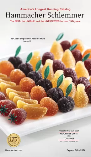 Hammacher Schlemmer catalogue in Orlando FL | Hammacher Schlemmer Express Gifts | 2025-10-20T00:00:00.000Z - 2025-11-03T00:00:00.000Z