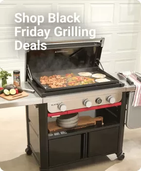 Ace Hardware catalogue in Loveland OH | Current special promotions | 2025-11-01T00:00:00.000Z - 2025-11-15T00:00:00.000Z