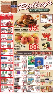 Ridley's Family Markets catalogue | Attractive special offers for everyone | 2025-11-11T00:00:00.000Z - 2025-11-17T00:00:00.000Z
