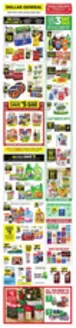Dollar General catalogue in Jacksonville FL | Exclusive deals and bargains | 2025-12-14T00:00:00.000Z - 2025-12-20T00:00:00.000Z