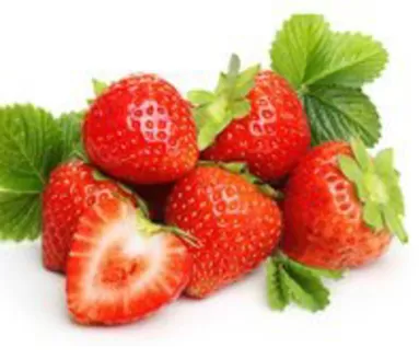  catalogue in Morrow GA | Attractive special offers for everyone | 2026-03-02T00:00:00.000Z - 2026-03-16T00:00:00.000Z