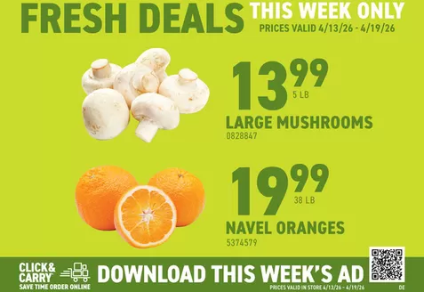 Chef'Store catalogue | Our best bargains | 2026-04-13T00:00:00.000Z - 2026-04-19T00:00:00.000Z