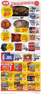 IGA catalogue | Discover attractive offers | 2026-06-03T00:00:00.000Z - 2026-06-09T00:00:00.000Z