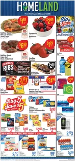 Homeland Market catalogue | Our best offers for you | 2026-06-10T00:00:00.000Z - 2026-06-16T00:00:00.000Z