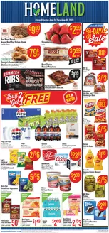 Homeland Market catalogue | Attractive special offers for everyone | 2026-06-24T00:00:00.000Z - 2026-06-30T00:00:00.000Z