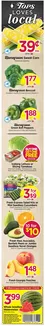 Tops catalogue | Discover attractive offers | 2026-07-19T00:00:00.000Z - 2026-07-25T00:00:00.000Z