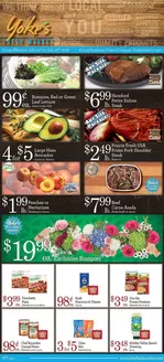 Yoke's Fresh Market catalogue | Discover attractive offers | 2026-07-22T00:00:00.000Z - 2026-07-28T00:00:00.000Z
