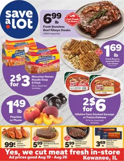 Save a Lot catalogue in East Saint Louis IL | Exclusive bargains | 2026-08-19T00:00:00.000Z - 2026-08-26T00:00:00.000Z