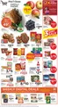 Pick'n Save catalogue | Exclusive bargains | 2025-11-12T00:00:00.000Z - 2025-11-18T00:00:00.000Z