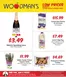 Woodman's catalogue in Bloomingdale IL | Our best deals for you | 2025-12-11T00:00:00.000Z - 2025-12-17T00:00:00.000Z