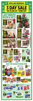 Dollar General catalogue in Lexington SC | Offers for bargain hunters | 2025-12-14T00:00:00.000Z - 2025-12-20T00:00:00.000Z