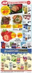 IGA catalogue | Exclusive bargains | 2026-03-25T00:00:00.000Z - 2026-03-31T00:00:00.000Z