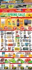 Compare Foods catalogue | Discover attractive offers | 2026-03-30T00:00:00.000Z - 2026-04-26T00:00:00.000Z
