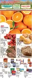 Family Fare catalogue | Great offer for bargain hunters | 2026-04-19T00:00:00.000Z - 2026-04-25T00:00:00.000Z