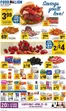 Food Lion catalogue | Offers for bargain hunters | 2026-04-22T00:00:00.000Z - 2026-04-28T00:00:00.000Z