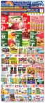 Bravo Supermarkets catalogue | Our best deals for you | 2026-05-01T00:00:00.000Z - 2026-05-07T00:00:00.000Z