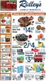 Ridley's Family Markets catalogue | Special offers for you | 2026-05-05T00:00:00.000Z - 2026-05-11T00:00:00.000Z