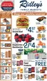 Ridley's Family Markets catalogue | Save now with our deals | 2026-05-12T00:00:00.000Z - 2026-05-18T00:00:00.000Z
