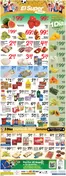 El Super catalogue | Exclusive deals and bargains | 2026-06-03T00:00:00.000Z - 2026-06-09T00:00:00.000Z