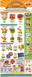 La Michoacana catalogue | New offers to discover | 2026-06-03T00:00:00.000Z - 2026-06-09T00:00:00.000Z
