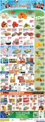 El Super catalogue | Wide range of offers | 2026-06-10T00:00:00.000Z - 2026-06-16T00:00:00.000Z