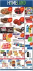 Homeland Market catalogue | Weekly Specials! | 2026-06-10T00:00:00.000Z - 2026-06-16T00:00:00.000Z