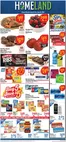 Homeland Market catalogue | Our best offers for you | 2026-06-10T00:00:00.000Z - 2026-06-16T00:00:00.000Z