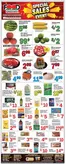 Food Bazaar catalogue | Great offer for all customers | 2026-06-11T00:00:00.000Z - 2026-06-17T00:00:00.000Z
