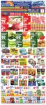 Bravo Supermarkets catalogue | Current special promotions | 2026-06-12T00:00:00.000Z - 2026-06-18T00:00:00.000Z