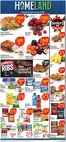 Homeland Market catalogue | Current special promotions | 2026-06-17T00:00:00.000Z - 2026-06-23T00:00:00.000Z