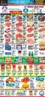Associated catalogue | New offers to discover | 2026-06-19T00:00:00.000Z - 2026-06-25T00:00:00.000Z