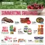 Fareway catalogue | Exclusive deals for our customers | 2026-07-06T00:00:00.000Z - 2026-07-11T00:00:00.000Z