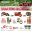 Fareway catalogue | Top offers for smart savers | 2026-07-06T00:00:00.000Z - 2026-07-11T00:00:00.000Z