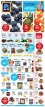 Aldi catalogue | Weekly Ad | 2026-07-08T00:00:00.000Z - 2026-07-14T00:00:00.000Z