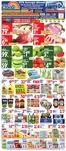 Bravo Supermarkets catalogue | Wide range of offers | 2026-07-10T00:00:00.000Z - 2026-07-16T00:00:00.000Z