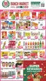 99 Ranch catalogue | Great offer for bargain hunters | 2026-07-10T00:00:00.000Z - 2026-07-23T00:00:00.000Z